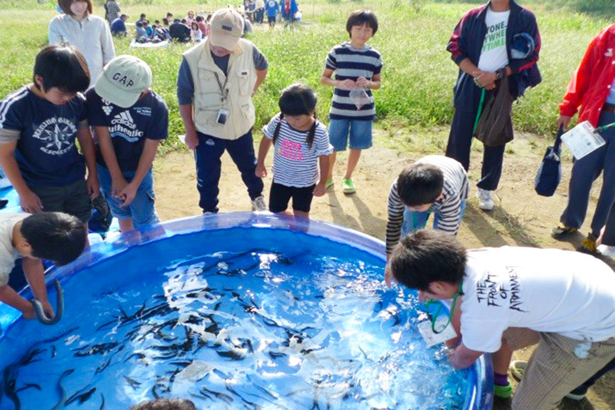 渡良瀬川河川敷清掃事業では、うなぎのつかみ取りも開催